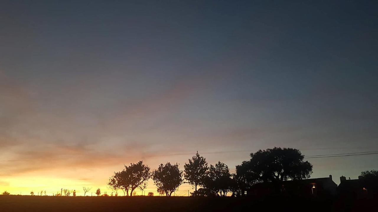 Herdade Reguenguinho Cercal do Alentejo Zewnętrze zdjęcie